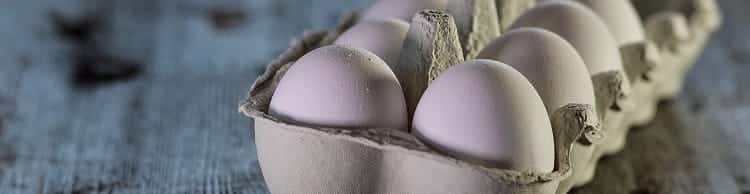 Яєчна шкаралупа як джерело кальцію