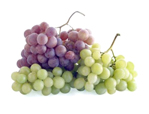 Екстракт виноградних кісточок відновлює пошкоджені капіляри, очищає стінки судин від небезпечних відкладень, виробляє омолоджуючий ефект, покращує кровообіг і прекрасно тонізує волосяні цибулини